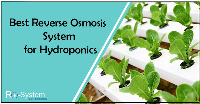 Best reverse osmosis system for hydroponoics