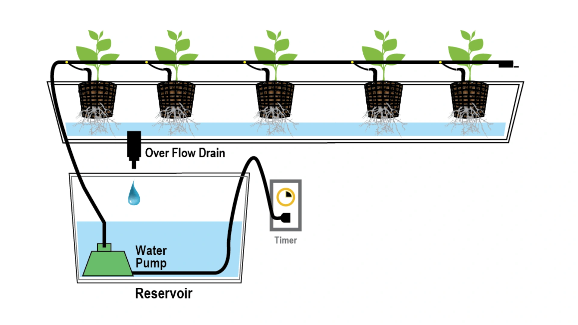 The Drip Irrigation System