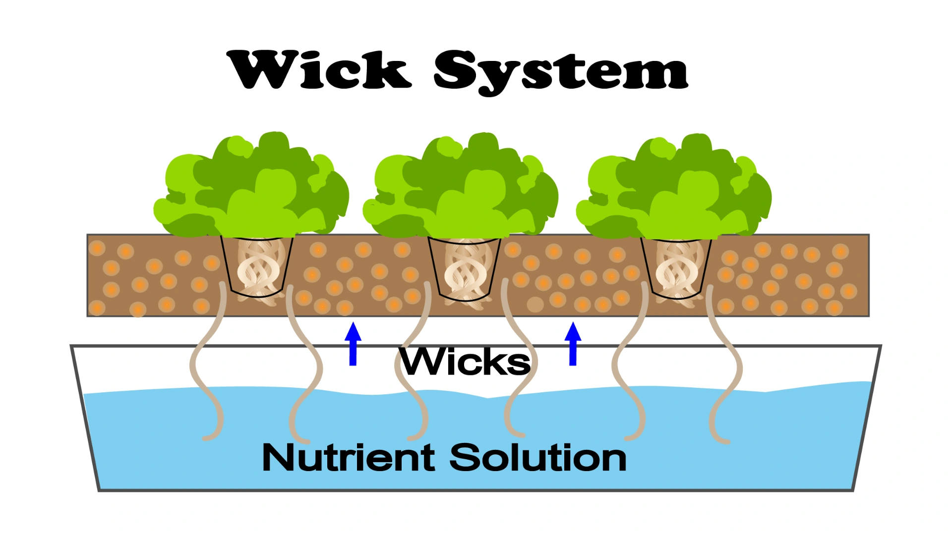 Wick System