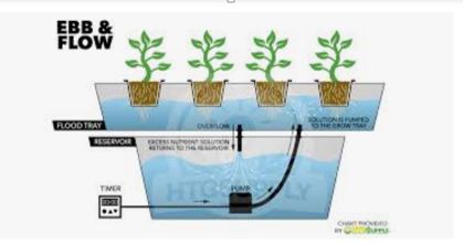 what are hydroponics systems