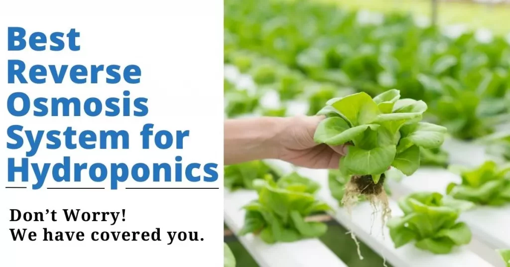 Best Reverse Osmosis System for Hydroponics