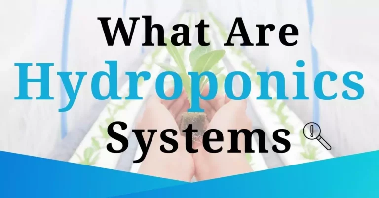 What Are Hydroponics Systems?