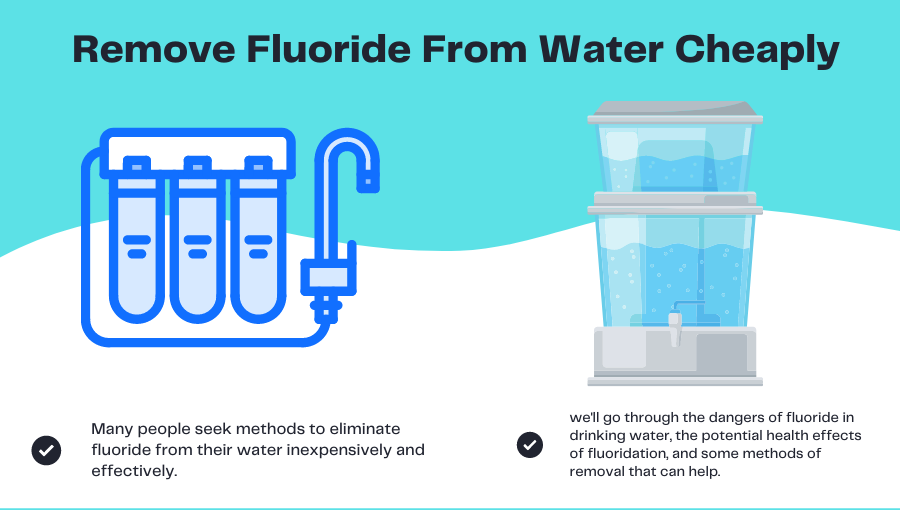 Remove Fluoride From Water Cheaply